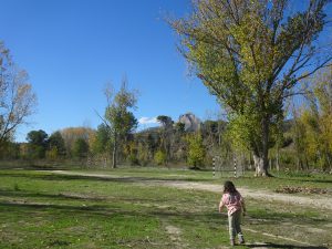 planes con niños alicante río serpis