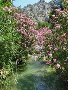 Font de l'algar alicante with kids