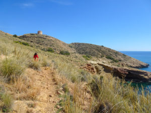 Ruta Torre de les Caletes Benidorm