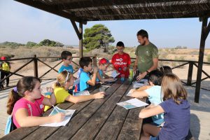 Oxytours torrevieja con niños