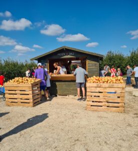 Planes con niños en otoño alicante granadas