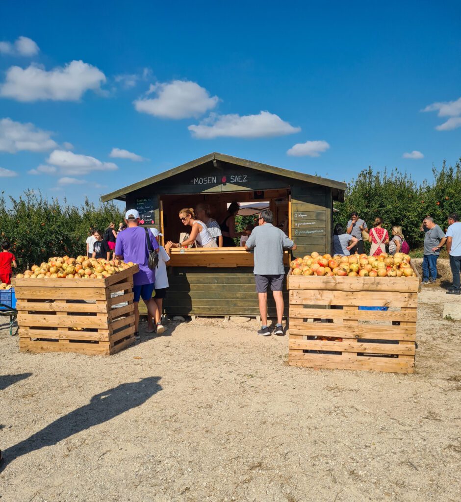 Planes con niños en otoño alicante granadas