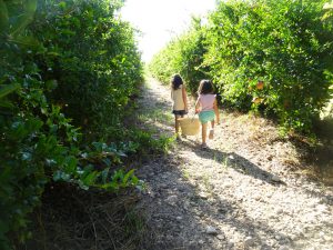 Planes con niños alicante