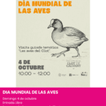 Actividad de observación e identificación de aves para familias en el Clot de Galvany