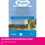 Taller de naturaleza para familias en Crevillent para descubrir insectos y construir un hotel con materiales naturales.