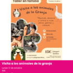 Actividad para niños en Elche para conocer y alimentar animales de granja