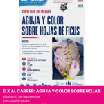 Elx al Carrer: Aguja y color sobre hojas de Ficus. Planes el 12 de septiembre en elche con niños