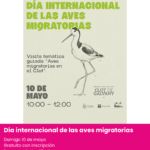Día internacional de las aves migratorias. Clot de galvany. Planes gratuitos domingo 10 de mayo en alicante
