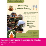 Taller de huerto para niños y familias en La Granja de Elche