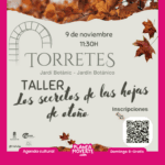 Los secretos de las hojas de otoño. Estación de Torretes, ibi. Planes domingo 9 de noviembre alicante