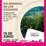 Planes este domingo en alicante con niños