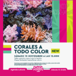 Corales a todo color, planes con niños en alicante este 15 de noviembre