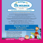 Cema los molinos, domingos en familia. Planes domingo 12 de abril en alicante