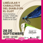 Planes este domingo en Alicante 