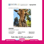 Planes con niños en agosto en la provincia de alicante