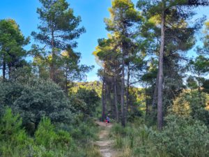 Ruta cova de bolumini con niños