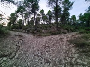 Ruta a la cova de bolumini desde el camping mariola