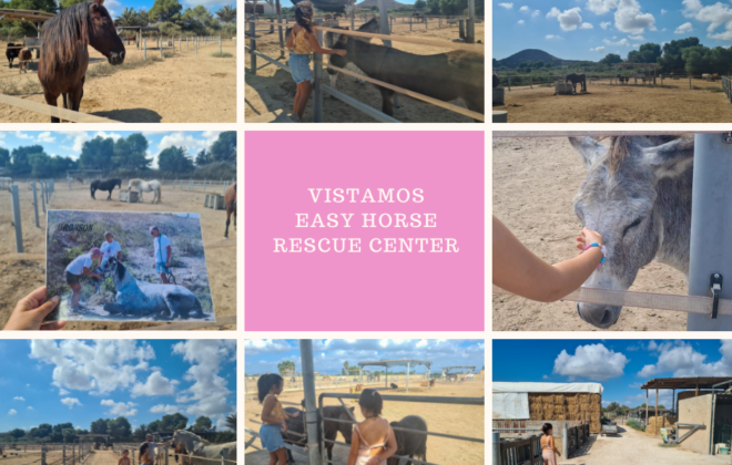 Visitamos Easy horse rescue center alicante con niños