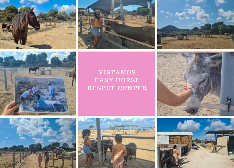 Visitamos Easy horse rescue center alicante con niños