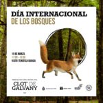 Día internacional de los bosques clot de galvani