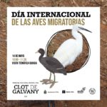 dÍA internacional de las aves migratorias