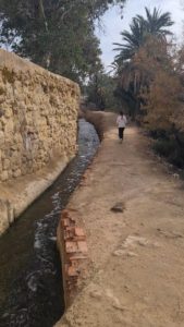 Ruta pantano de elche con niños